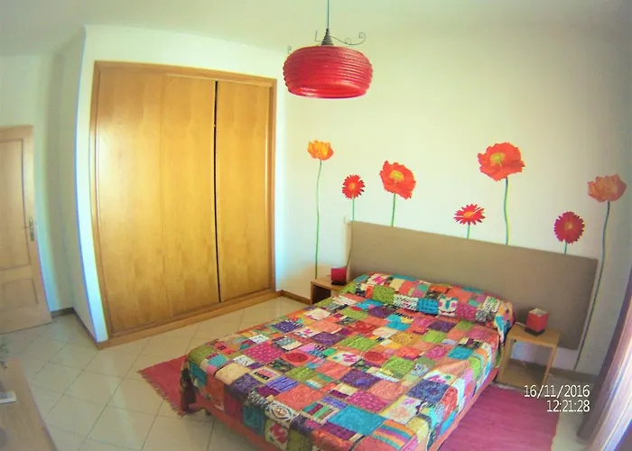 Excelente T1 Oura Bicos Lucia