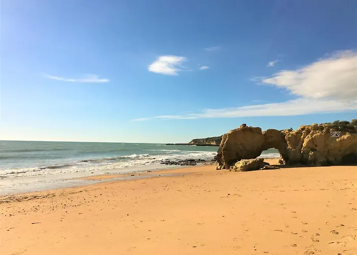 Excelente T1 Oura Bicos Lucia