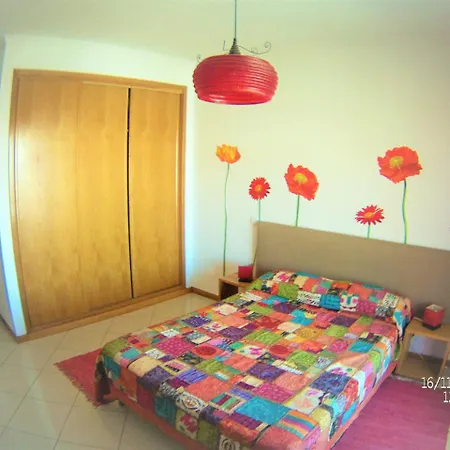 Excelente T1 Oura Bicos Lucia