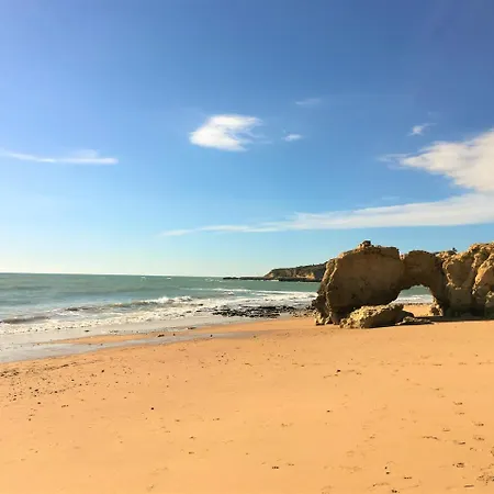 Excelente T1 Oura Bicos Lucia